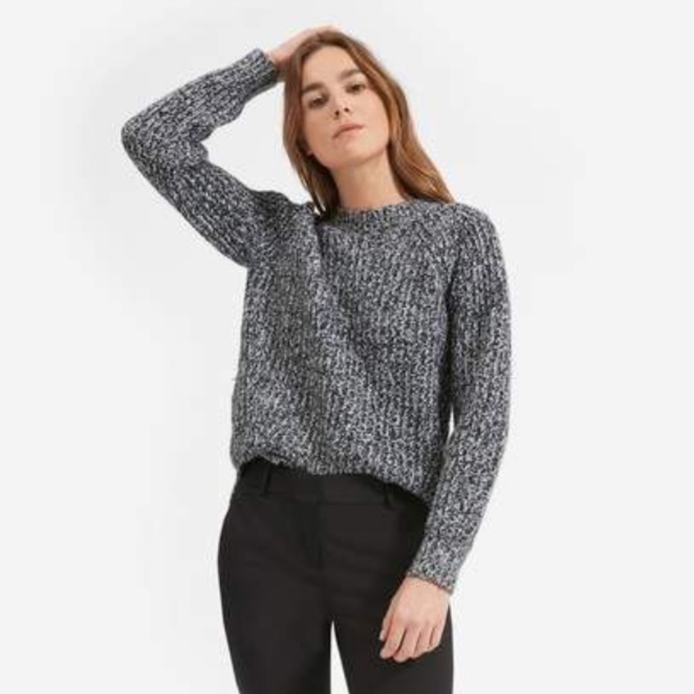 Everlane Italian Soft Wool Rib Crew